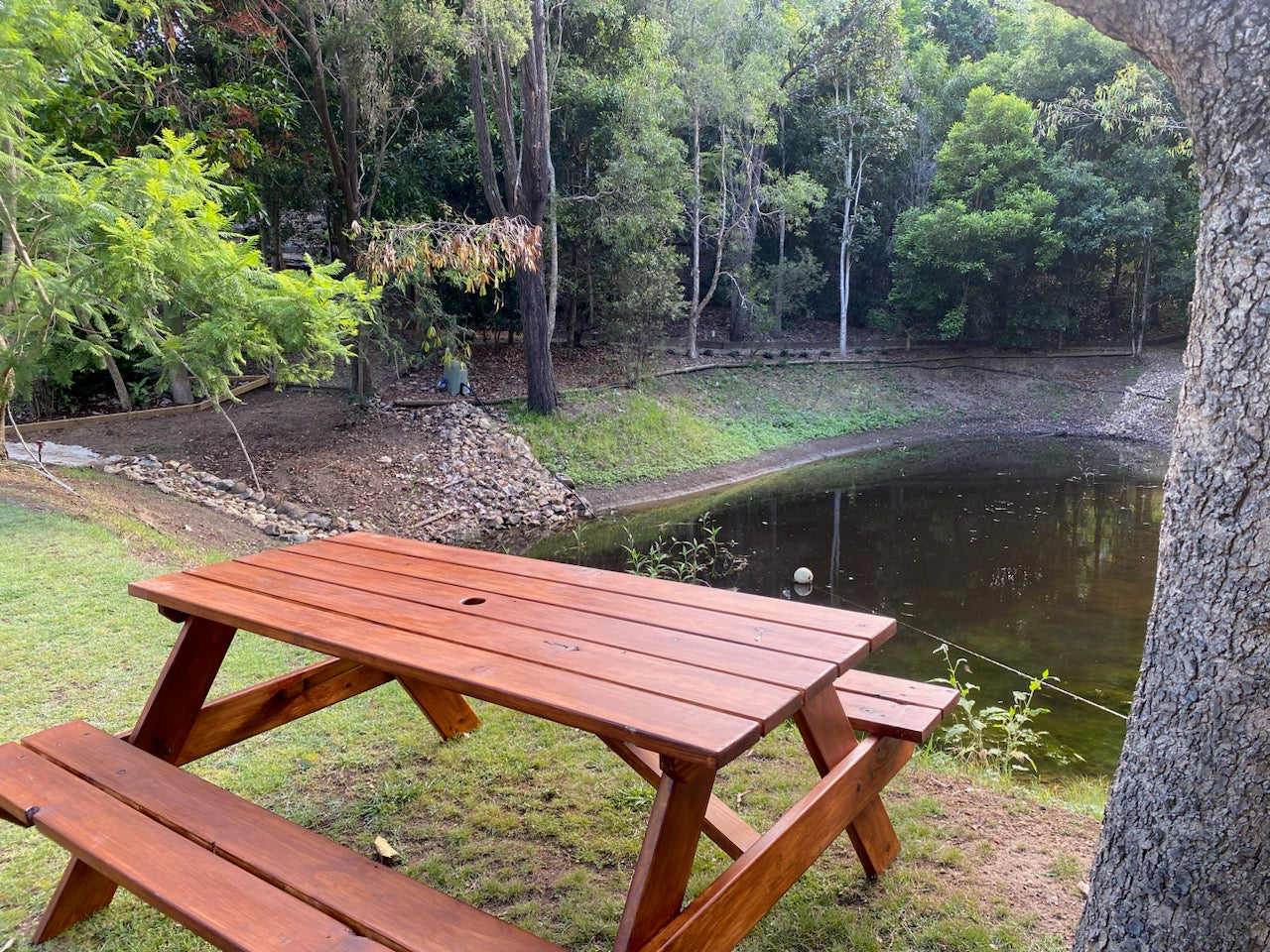 A merbau wooden picnic table with attached benches in an outdoor backyard setting next to a small pond, with trees and grass in the background.